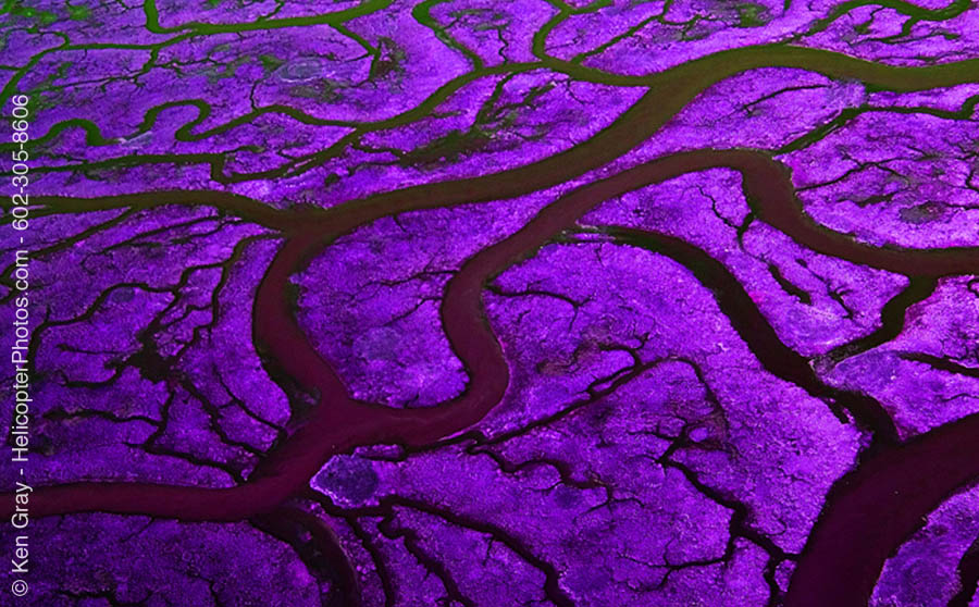 Salt Beds in Purple